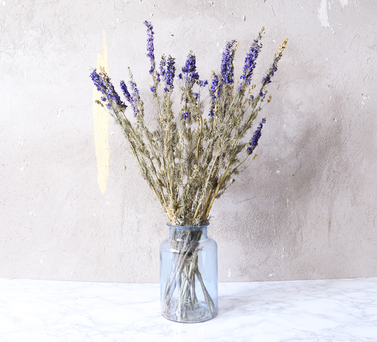 Delphinium Rittersporn Getrocknet (Bund)