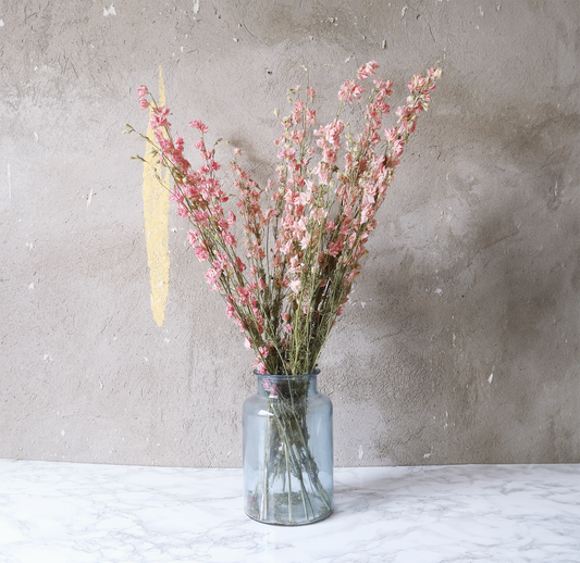 Delphinium Rittersporn Getrocknet (Bund)