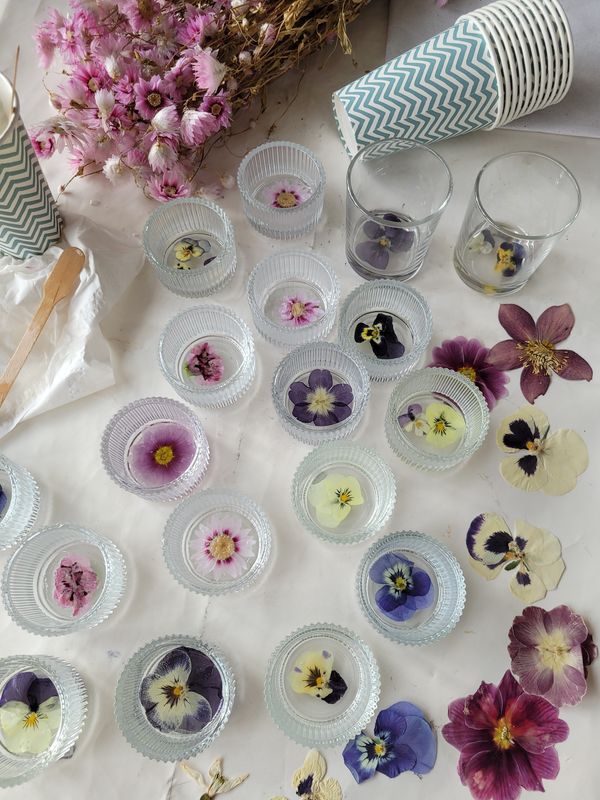 Gepresste Trockenblüten in leuchtenden Farben