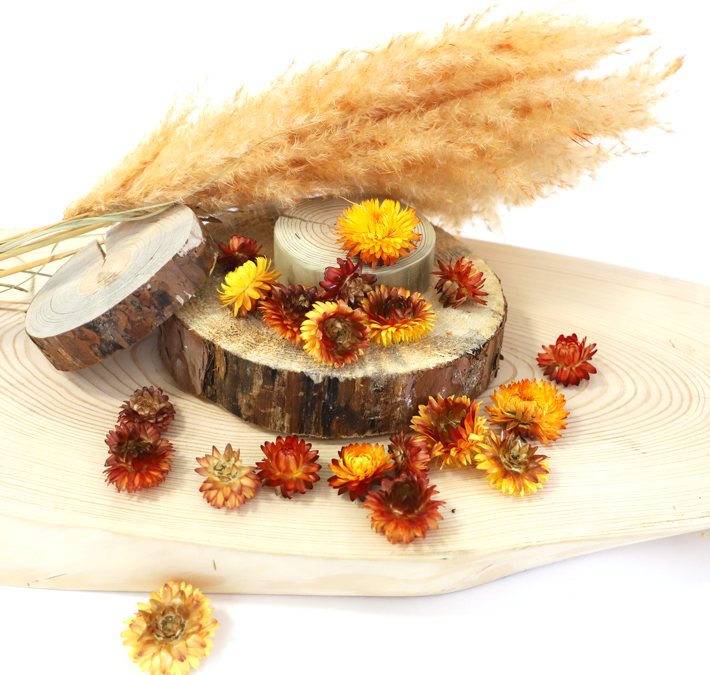 60 getrocknete Strohblumenköpfe – farblich sortiert