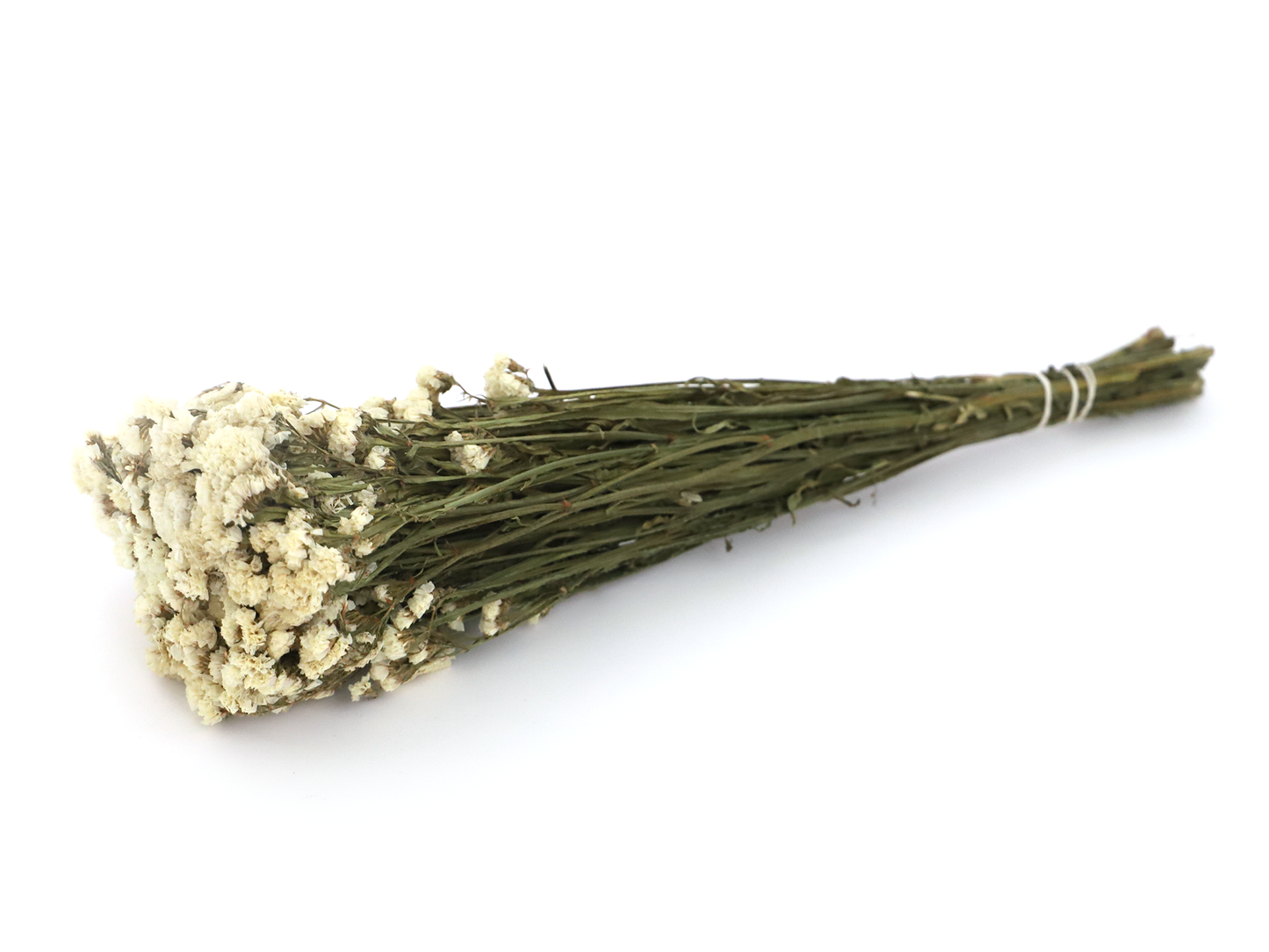 Getrockneter Strandflieder in kräftigen Farben (Bund)