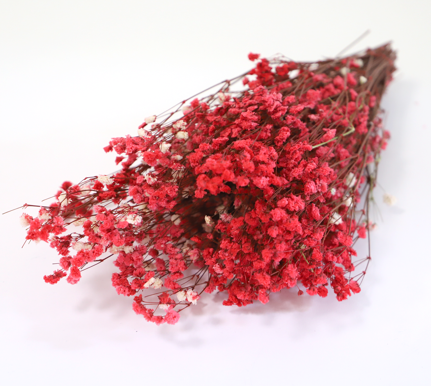 Getrocknetes filigranes Schleierkraut in zarten Farben (Bund)