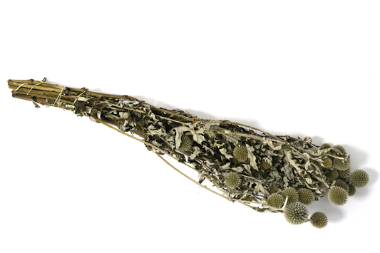 Rustikale getrocknete Kugeldistel (Bund)