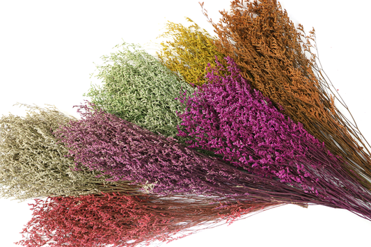Getrocknete Gräser in vielen Farben (Bund)