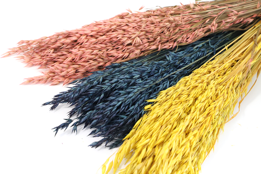 Getrockneter Hafer in drei Farben (Bund)