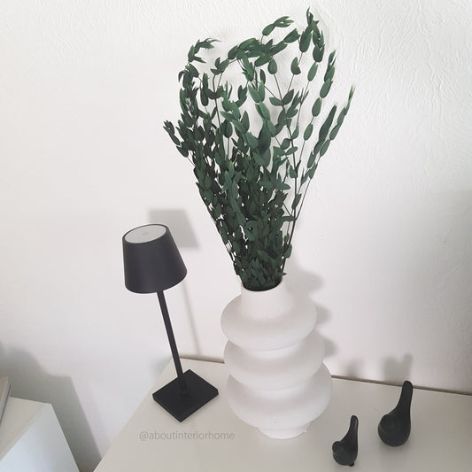 Getrockneter Eukalyptus in zwei Blattgrößen (Bund)