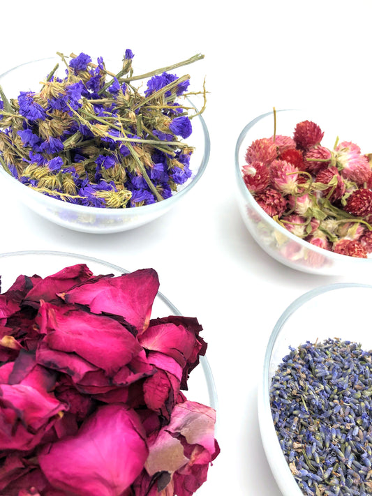 Blütenset aus acht getrockneten Blumensorten