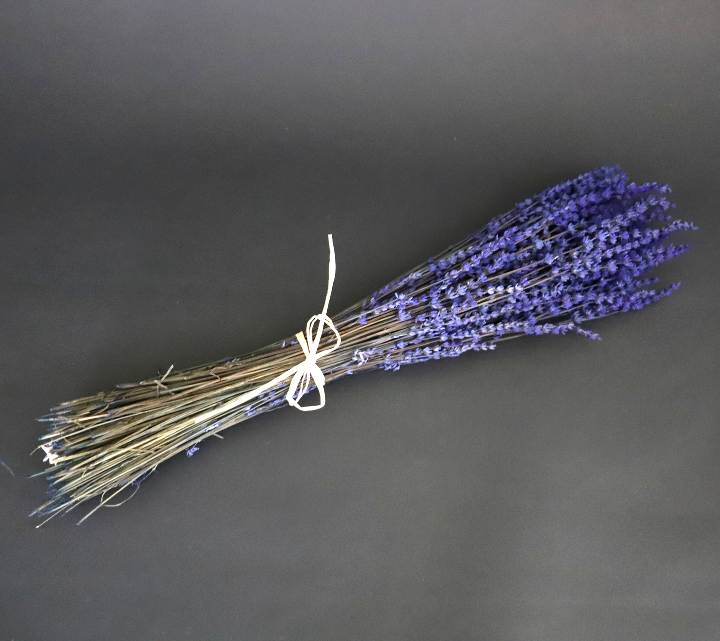 Getrockneter Lavendel in zwei Farben (Bund)