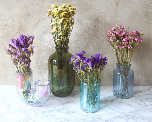 Getrockneter Strandflieder in kräftigen Farben (Bund)