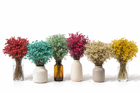 Getrocknetes Crystal Gras in vielen Farben (Bund)