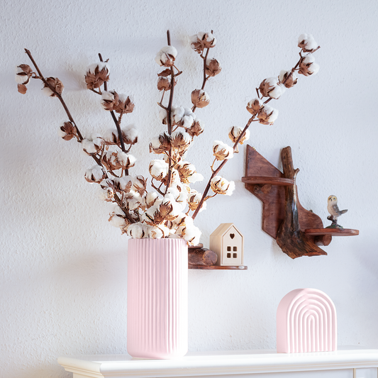 Baumwolle Zweig Getrocknet für Boho Deko