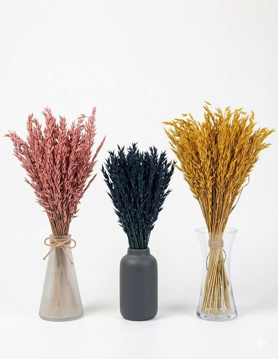 Getrockneter Hafer in drei Farben (Bund)