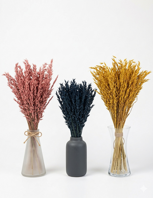 Getrockneter Hafer in drei Farben (Bund)