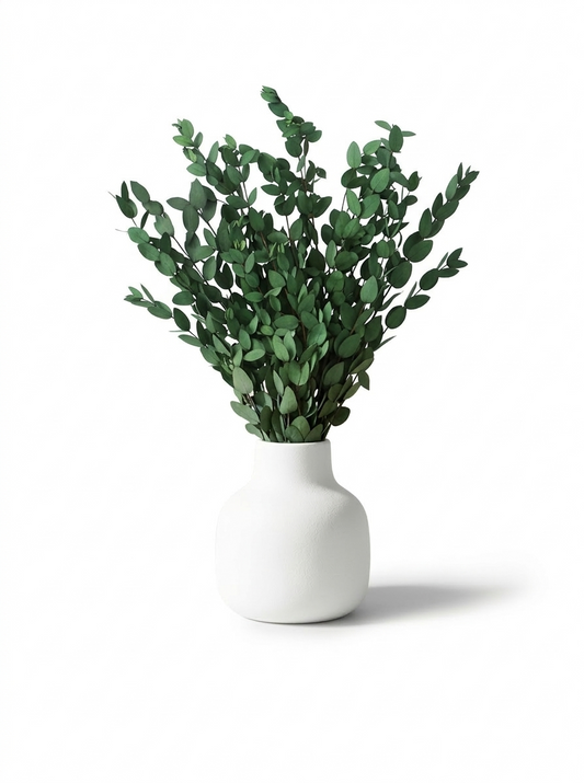 Getrockneter Eukalyptus in zwei Blattgrößen (Bund)