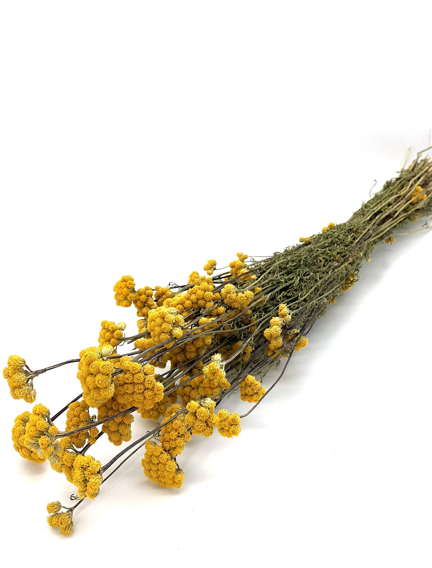 Lona Trockenblumen in sonnigem Gelb (Bund)