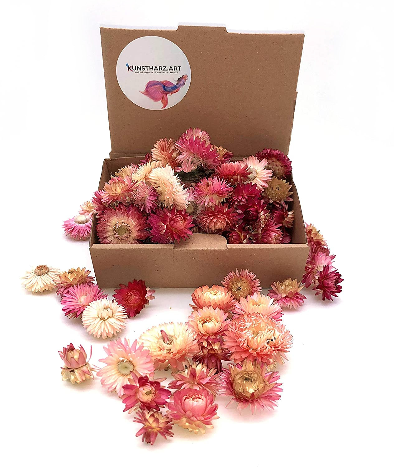 60 getrocknete Strohblumenköpfe – farblich sortiert