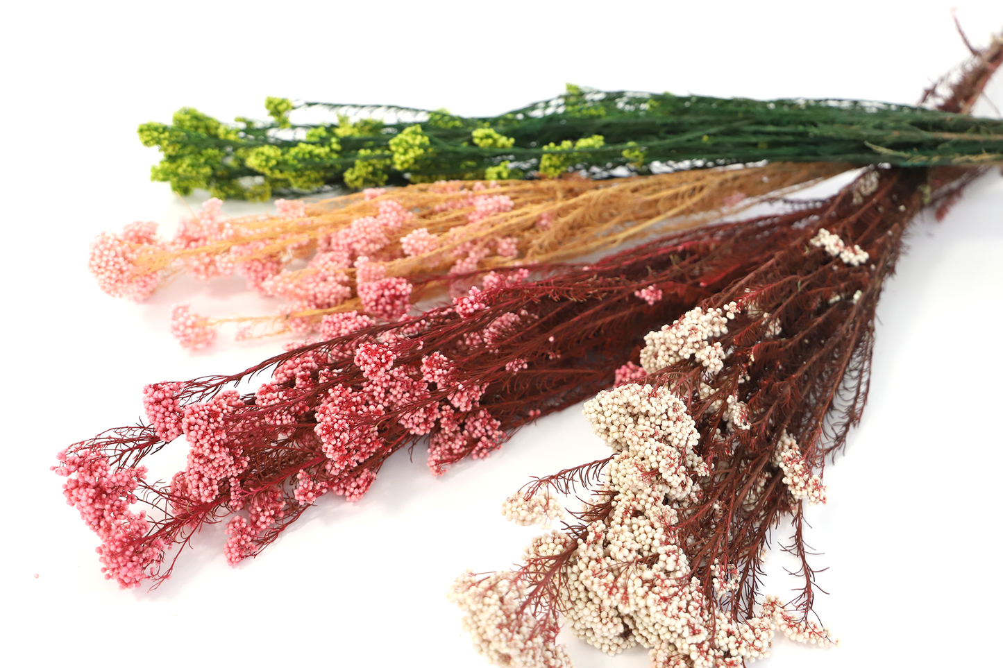 Getrocknete Reisblumen in sieben Farben (Bund)