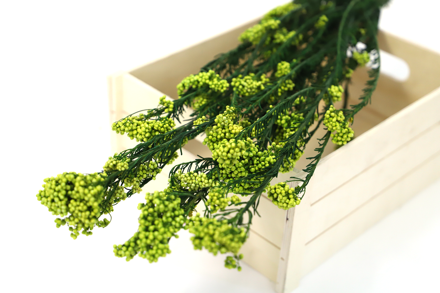 Getrocknete Reisblumen in sieben Farben (Bund)