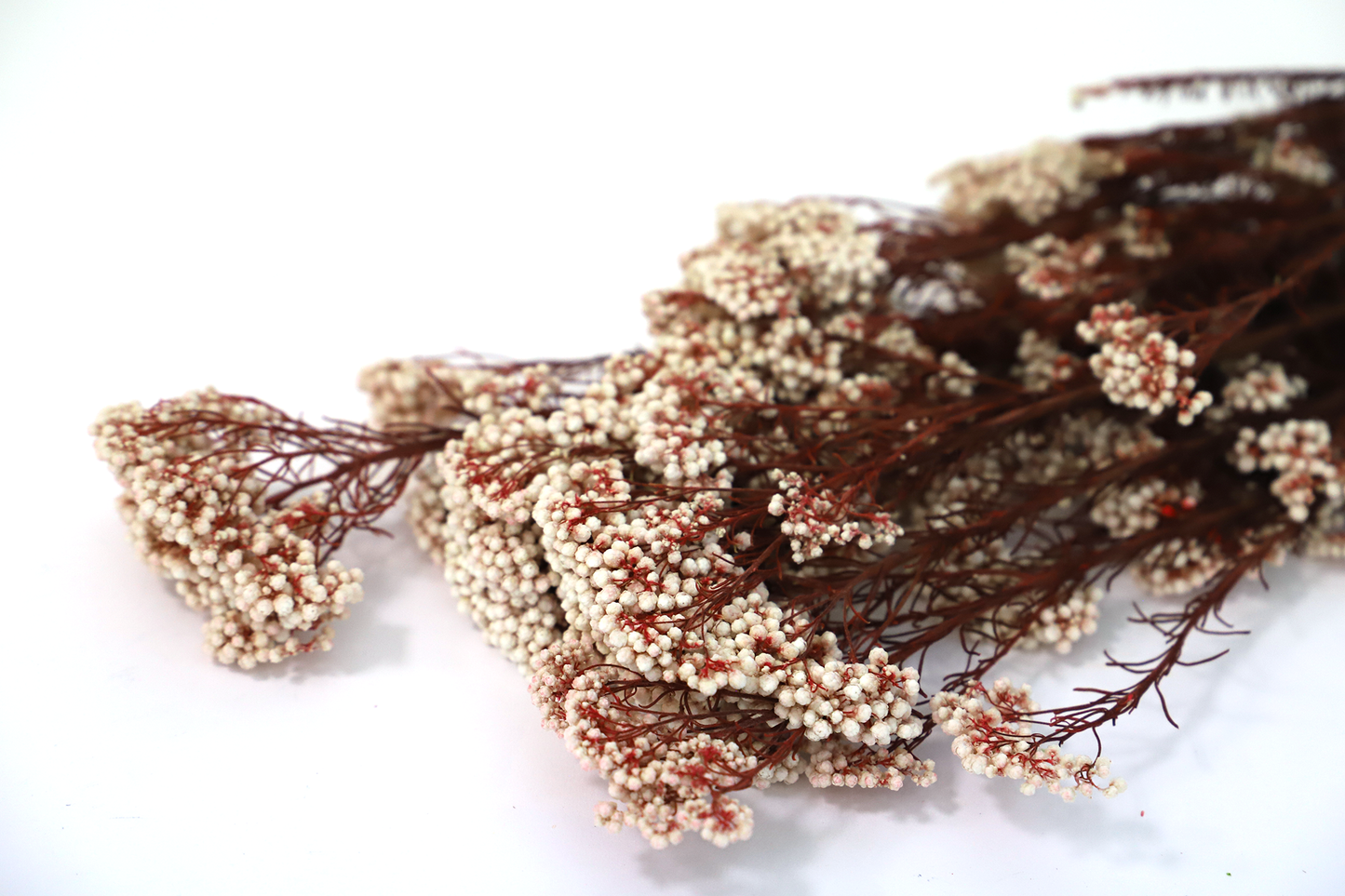 Getrocknete Reisblumen in sieben Farben (Bund)