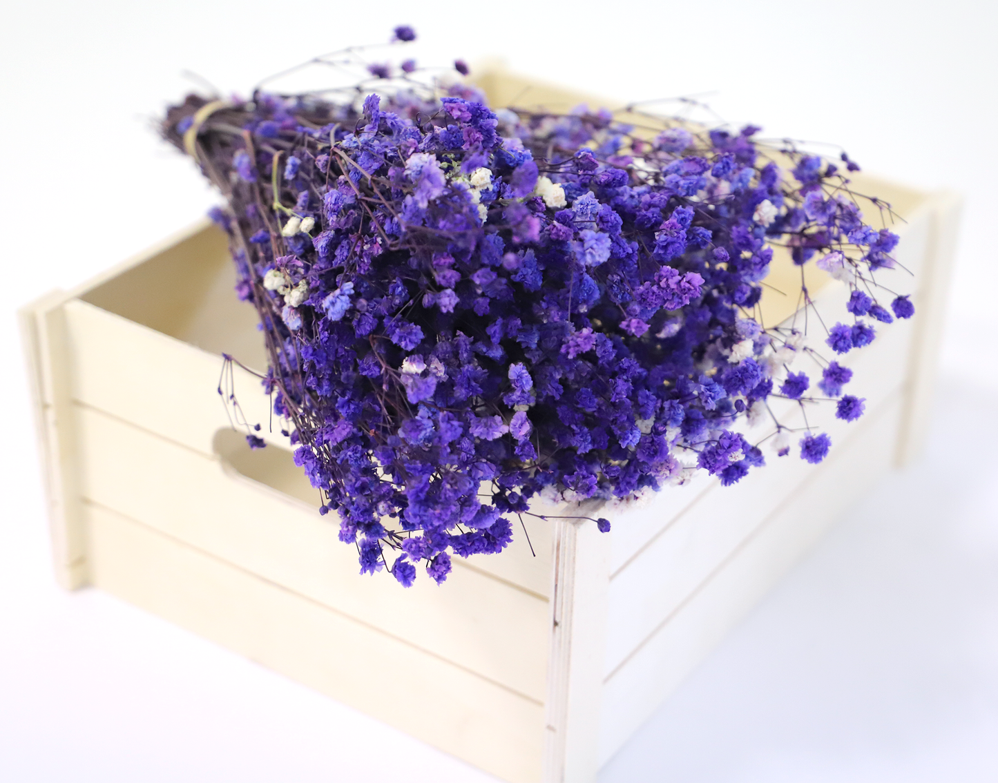 Getrocknetes filigranes Schleierkraut in zarten Farben (Bund)