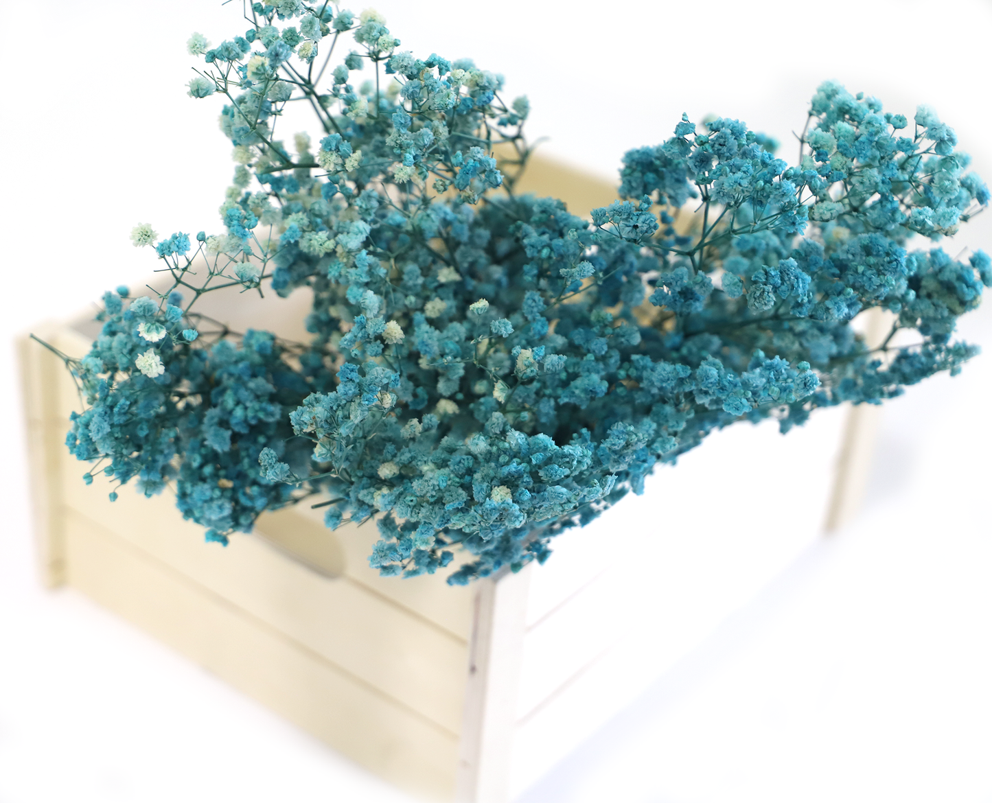 Getrocknetes filigranes Schleierkraut in zarten Farben (Bund)