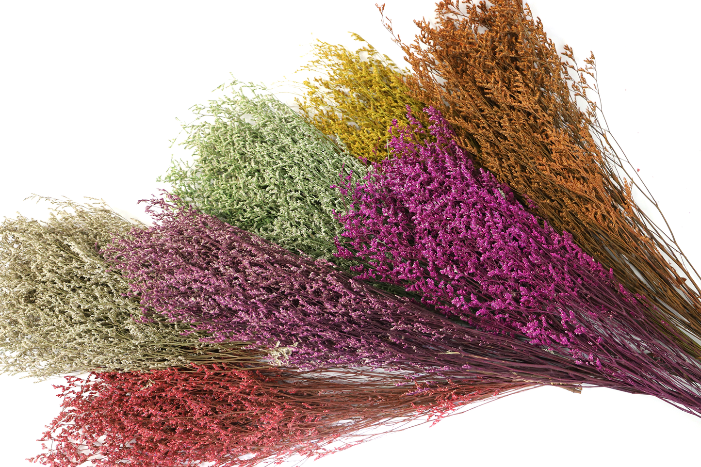 Getrocknete Gräser in vielen Farben (Bund)