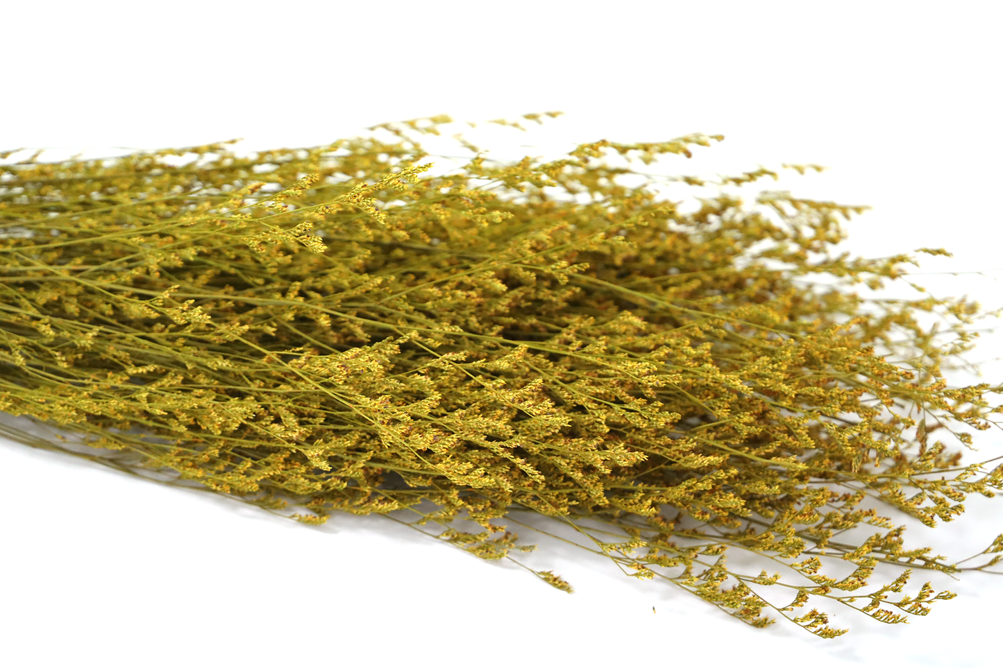 Getrocknete Gräser in vielen Farben (Bund)