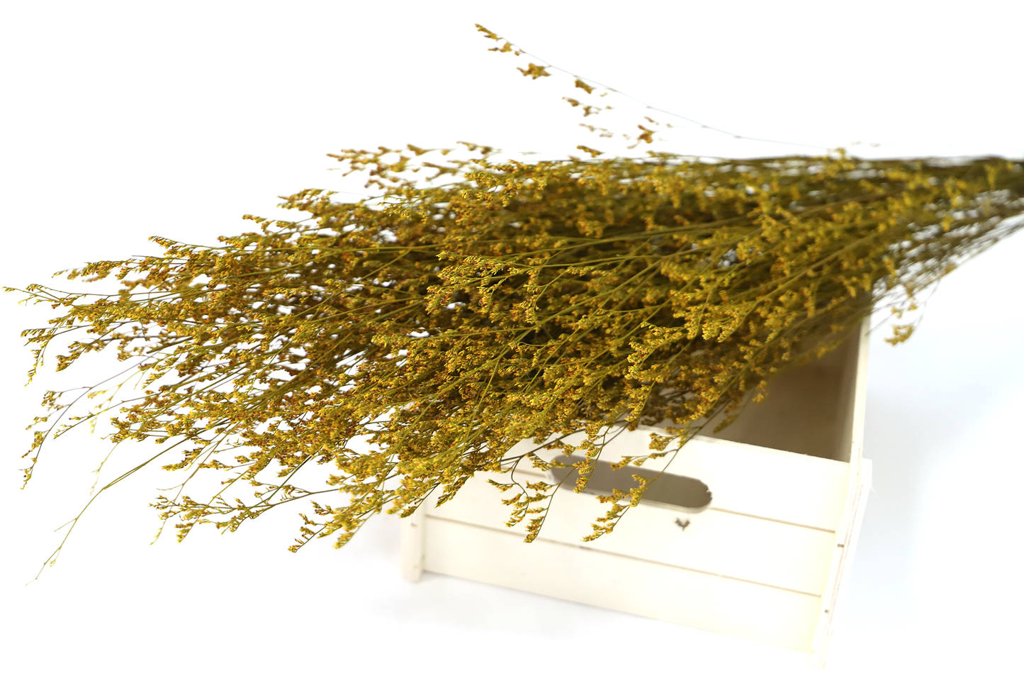 Getrocknete Gräser in vielen Farben (Bund)