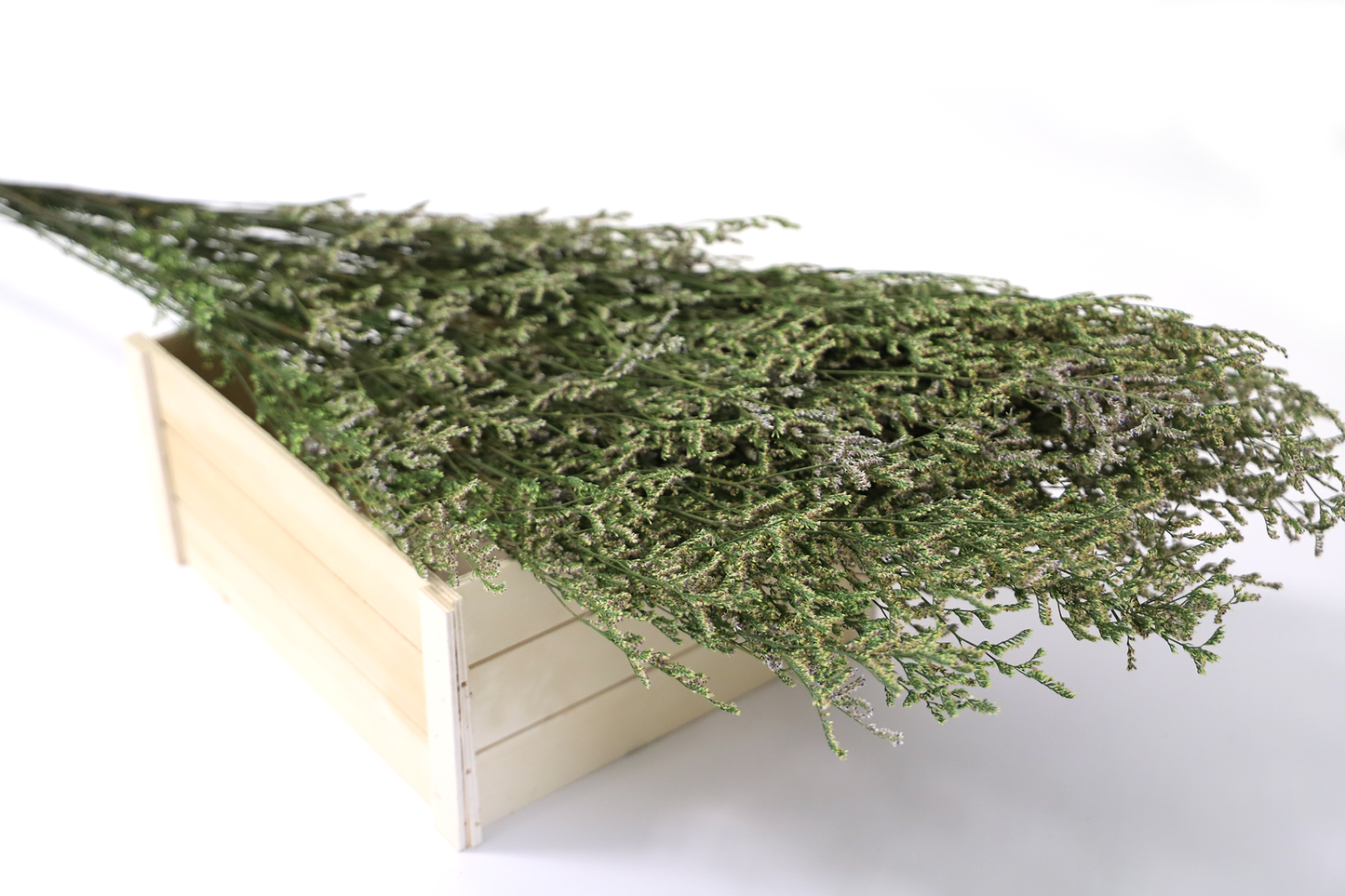 Getrocknete Gräser in vielen Farben (Bund)