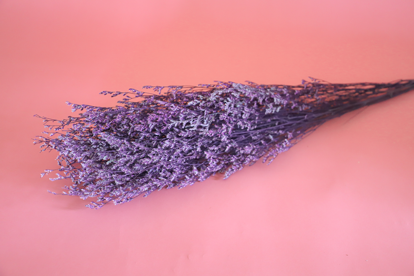 Getrocknete Gräser in vielen Farben (Bund)