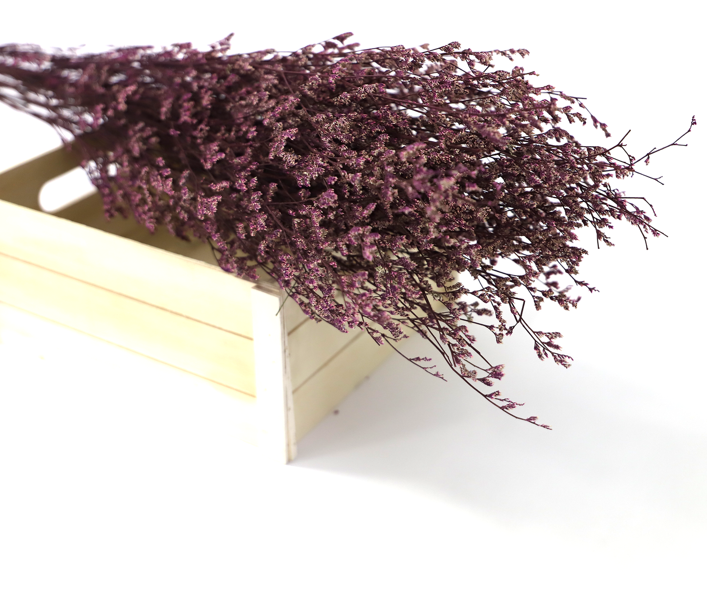 Getrocknete Gräser in vielen Farben (Bund)