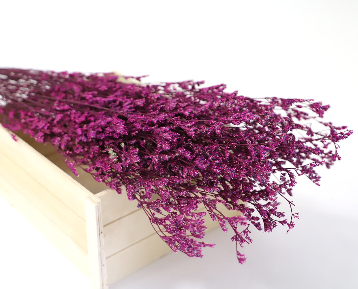 Getrocknete Gräser in vielen Farben (Bund)