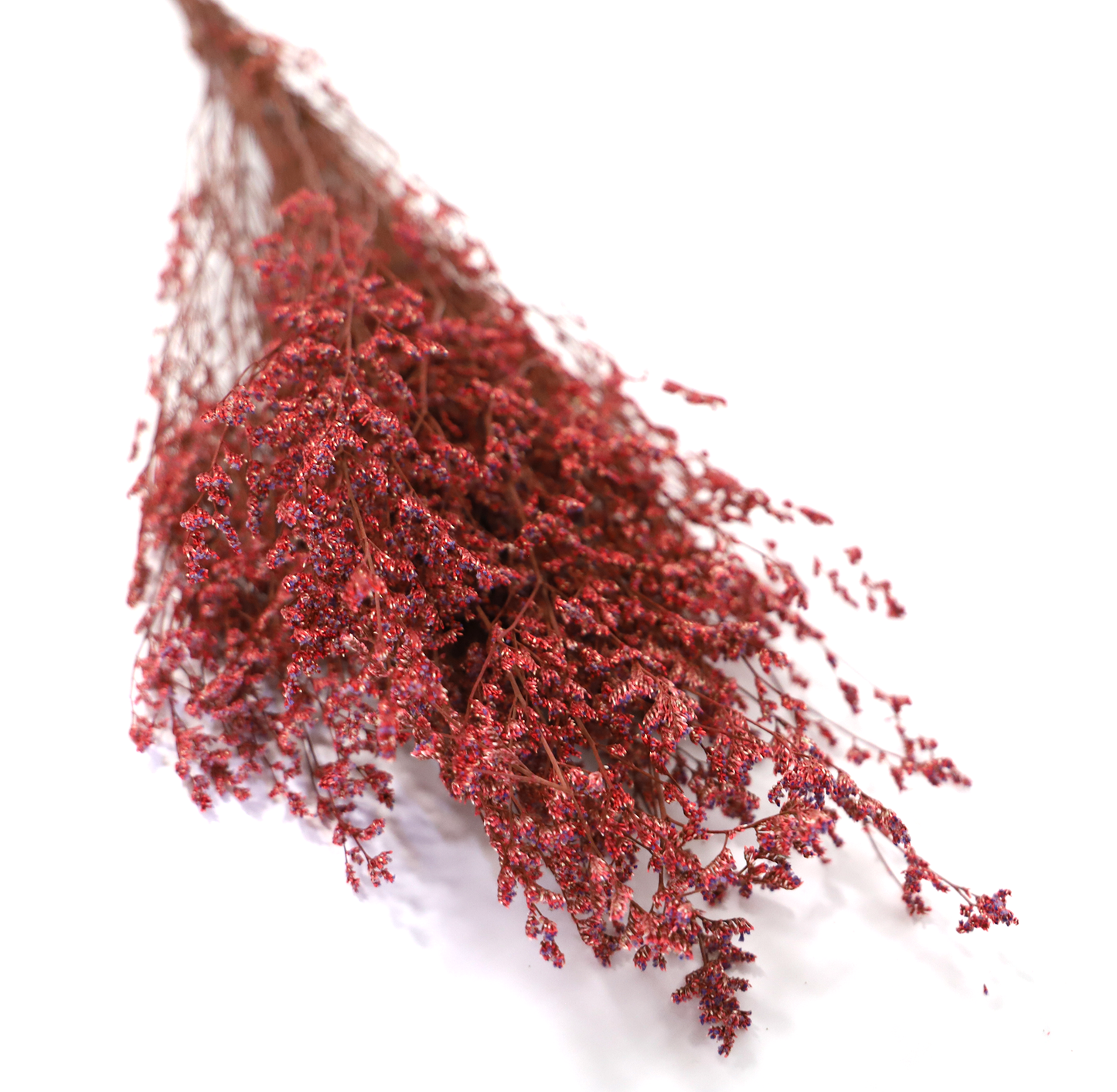 Getrocknete Gräser in vielen Farben (Bund)