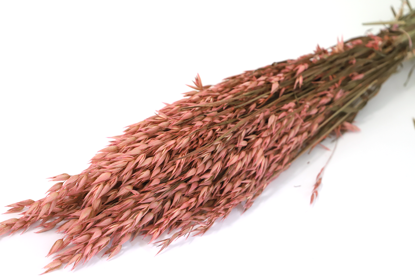 Getrockneter Hafer in drei Farben (Bund)