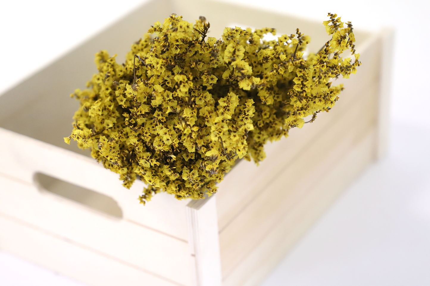 Getrocknetes Crystal Gras in vielen Farben (Bund)