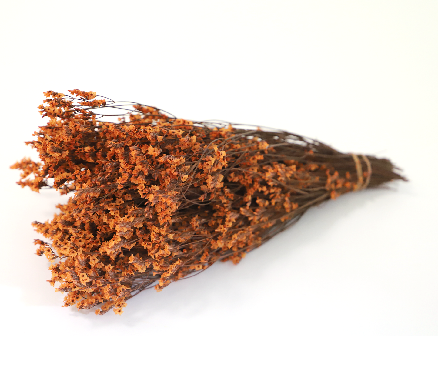 Getrocknetes Crystal Gras in vielen Farben (Bund)