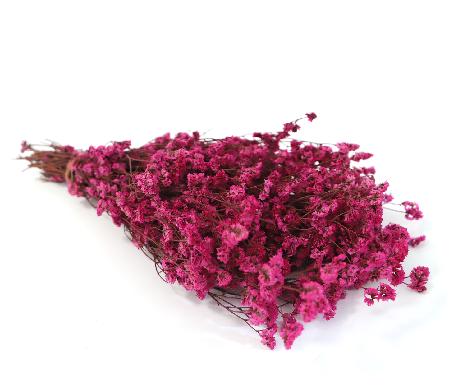 Getrocknetes Crystal Gras in vielen Farben (Bund)