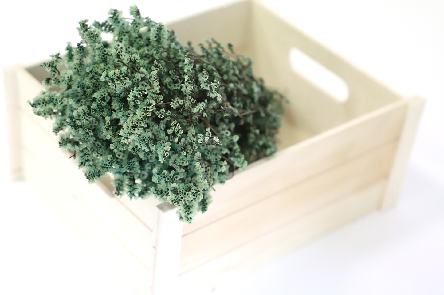 Getrocknetes Crystal Gras in vielen Farben (Bund)