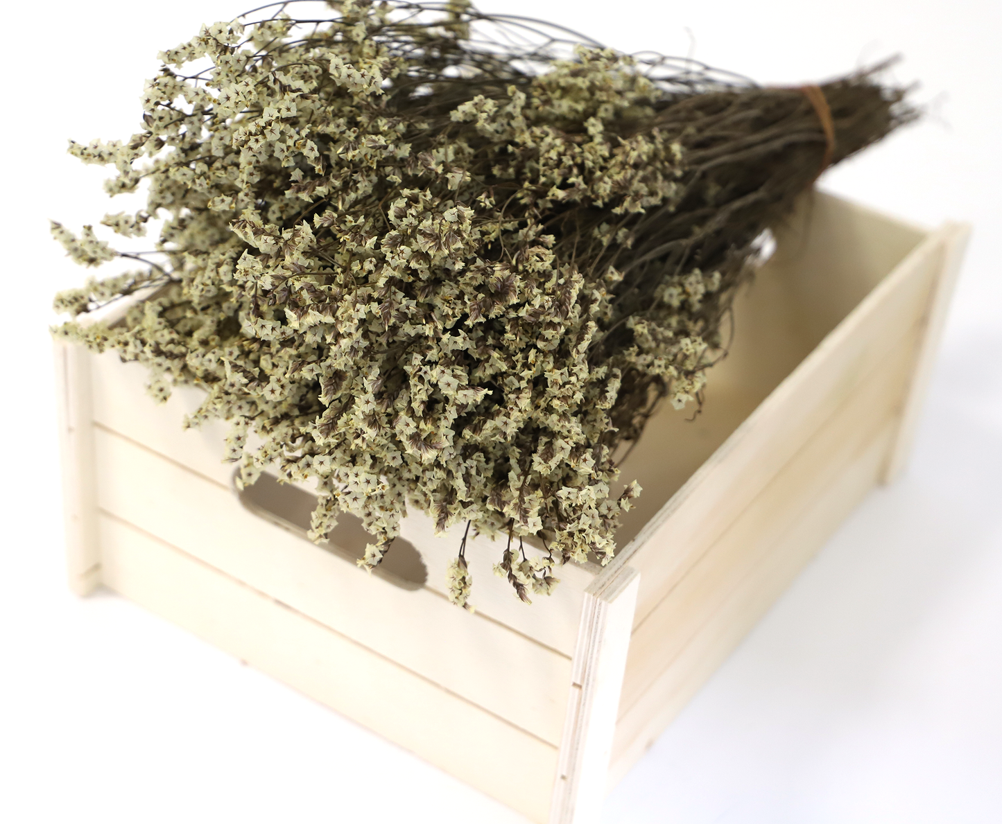 Getrocknetes Crystal Gras in vielen Farben (Bund)