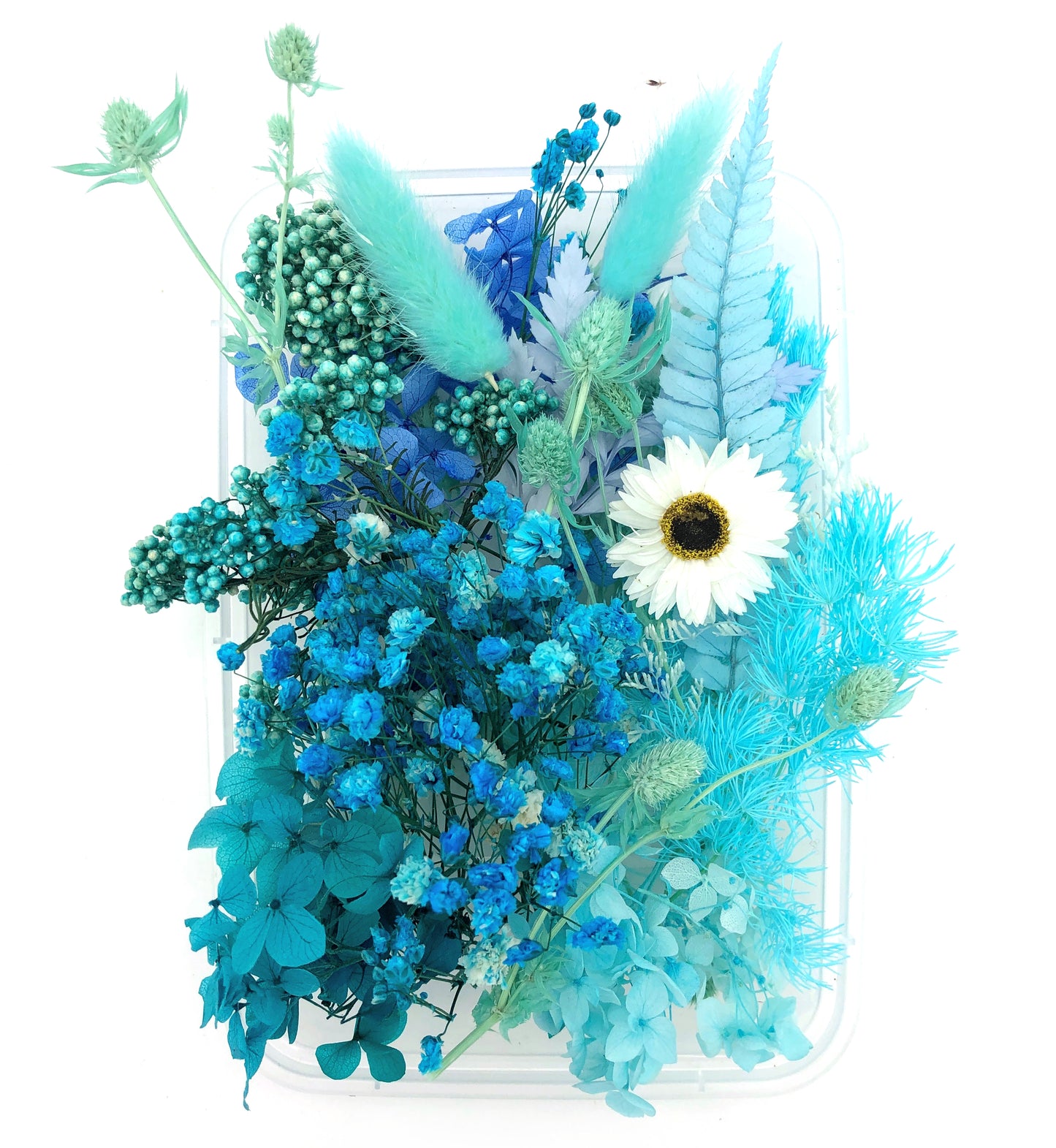 Sehnsucht nach Meer – Harmonischer Blumenmix