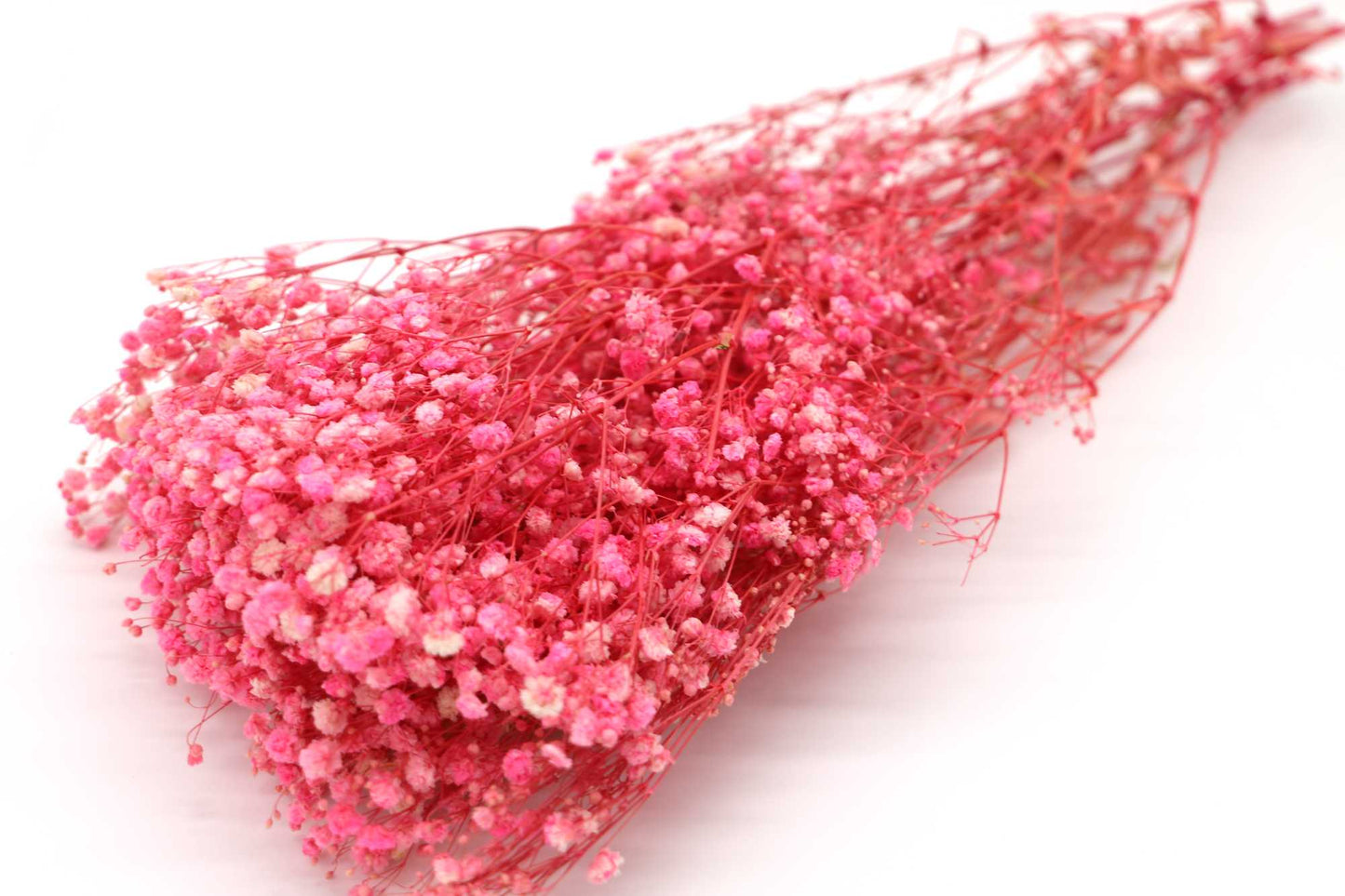 Getrocknetes filigranes Schleierkraut in zarten Farben (Bund)