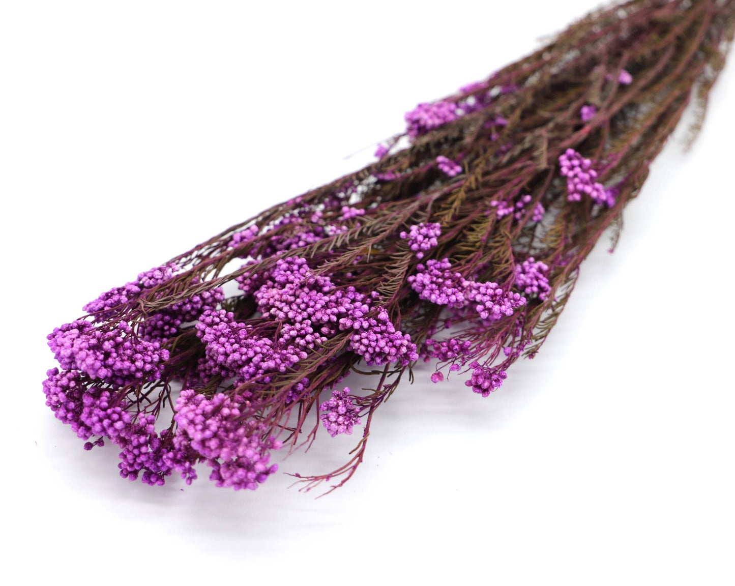 Getrocknete Reisblumen in sieben Farben (Bund)