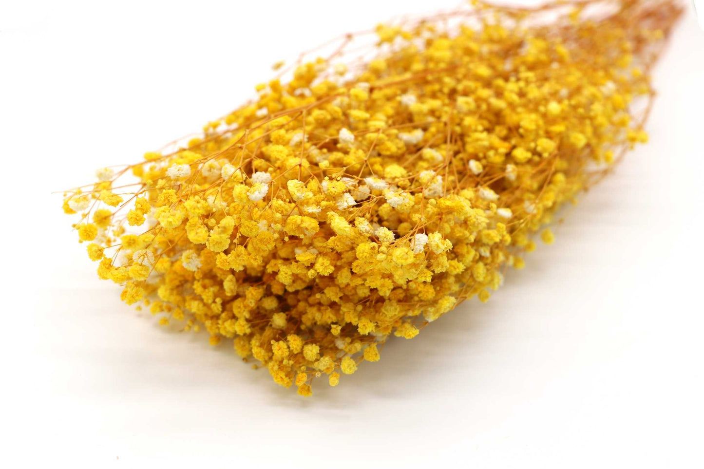 Getrocknetes filigranes Schleierkraut in zarten Farben (Bund)