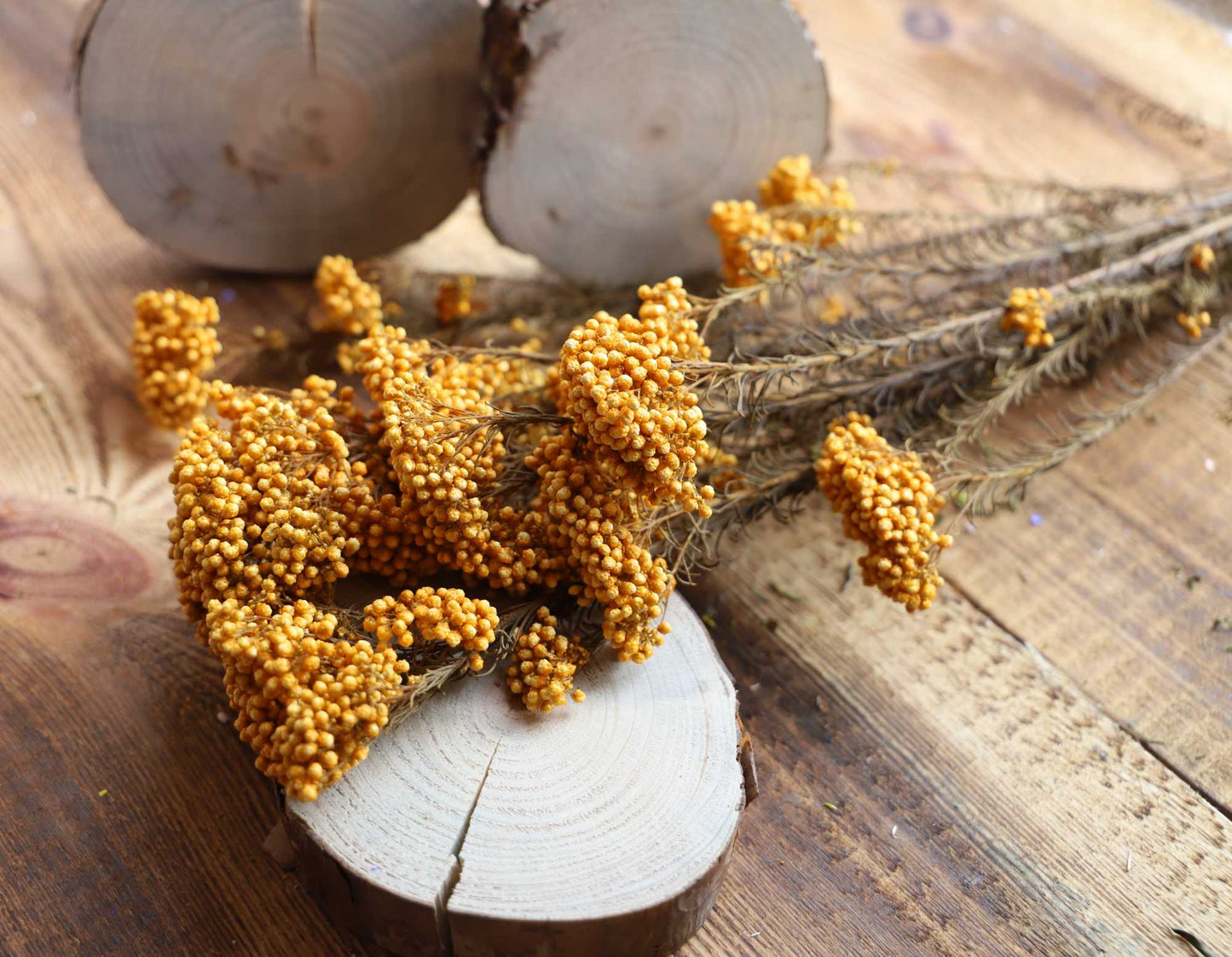 Getrocknete Reisblumen in sieben Farben (Bund)