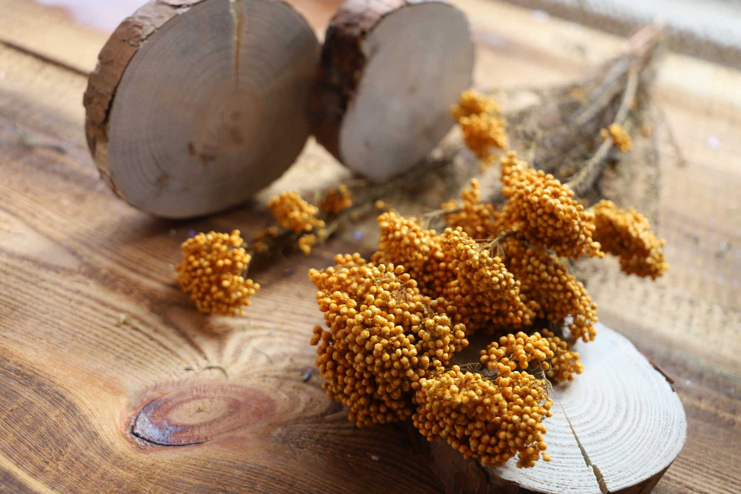 Getrocknete Reisblumen in sieben Farben (Bund)