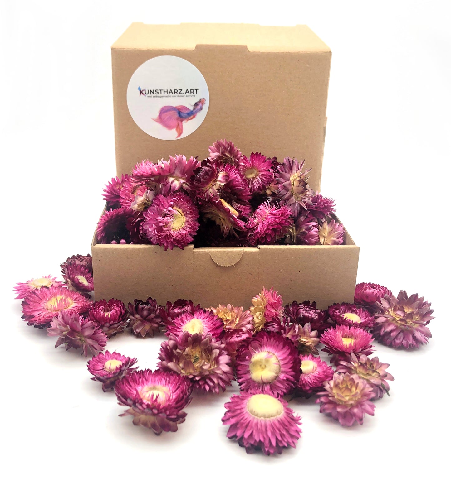 60 getrocknete Strohblumenköpfe – farblich sortiert