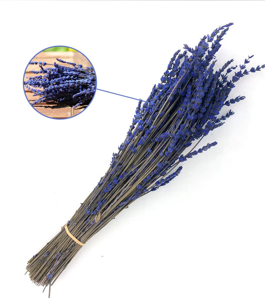 Getrockneter Lavendel in zwei Farben (Bund)
